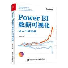 《PowerBI数据可视化从入门到实战袁佳林》[98M]百度网盘|pdf下载|亲测有效