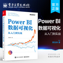 《官方PowerBI数据可视化从入门到实战PowerBI入门与进阶书籍PowerBI数据分析及仪表板设计整体流程PowerBI核心计算原理》[66M]百度网盘|pdf下载|亲测有效