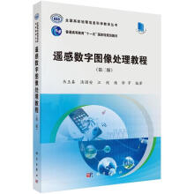 《遥感数字图像处理教程》[73M]百度网盘|pdf下载|亲测有效