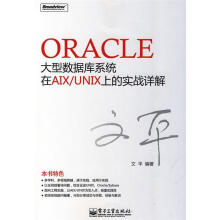 《Oracle大型数据库系统在AIXUNIX上的实战详解文平　编著》[66M]百度网盘|pdf下载|亲测有效