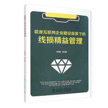 《能源互联网企业建设背景下的线损精益管理》[93M]百度网盘|pdf下载|亲测有效