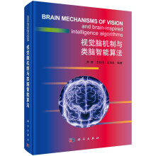 《视觉脑机制与类脑智能算法》[66M]百度网盘|pdf下载|亲测有效