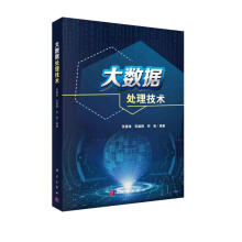 《大数据处理技术》[46M]百度网盘|pdf下载|亲测有效