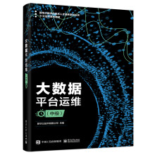 《大数据平台运维》[71M]百度网盘|pdf下载|亲测有效