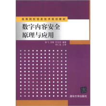 《高等院校信息技术规划教材：数字内容安全原理与应用》[40M]百度网盘|pdf下载|亲测有效