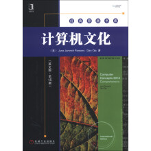 《经典原版书库：计算机文化》[90M]百度网盘|pdf下载|亲测有效