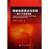 《图像加密算法与实践--基于C#语言实现》[79M]百度网盘|pdf下载|亲测有效