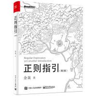 《正则指引》[46M]百度网盘|pdf下载|亲测有效