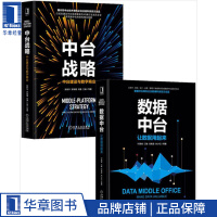 《现货包邮 数据中台：让数据用起来+中台战略：中台建设与数字商业（2册）|8066161》[68M]百度网盘|pdf下载|亲测有效