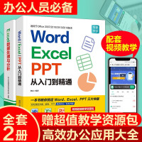 《Word Excel PPT从入门到精通+Excel数据处理与分析wps教程表格制作函数R Excel入门教程+数据处理2册》[93M]百度网盘|pdf下载|亲测有效