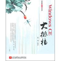 《WindowsCE大排档》[57M]百度网盘|pdf下载|亲测有效