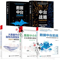 《数据中台实战 手把手教你搭建数据中台》[45M]百度网盘|pdf下载|亲测有效