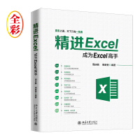 《精进Excel：成为Excel高手（全彩）》[71M]百度网盘|pdf下载|亲测有效