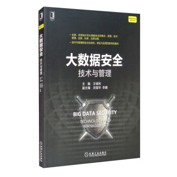 《大数据安全：技术与管理》[68M]百度网盘|pdf下载|亲测有效