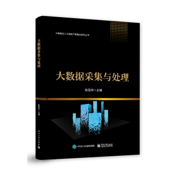 《大数据采集与处理》[49M]百度网盘|pdf下载|亲测有效