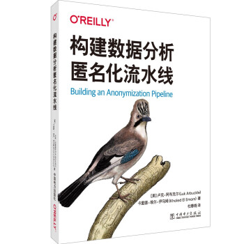 《构建数据分析匿名化流水线》[57M]百度网盘|pdf下载|亲测有效