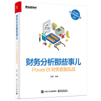 《财务分析那些事儿：PowerBI财务数据实战》[59M]百度网盘|pdf下载|亲测有效