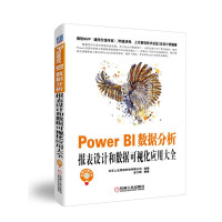 《PowerBI数据分析：报表设计和数据可视化应用大全》[90M]百度网盘|pdf下载|亲测有效