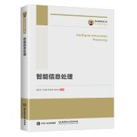 《国之重器出版工程智能信息处理》[88M]百度网盘|pdf下载|亲测有效
