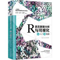 《R语言数据分析与可视化从入门到精通》[82M]百度网盘|pdf下载|亲测有效