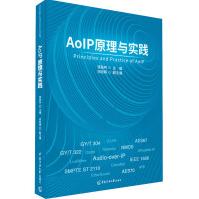 《AoIP原理与实践》[98M]百度网盘|pdf下载|亲测有效