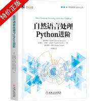 《自然语言处理Python进阶》[46M]百度网盘|pdf下载|亲测有效