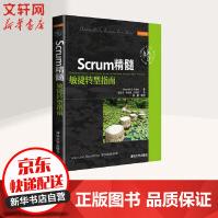 《Scrum精髓敏捷转型指南》[54M]百度网盘|pdf下载|亲测有效