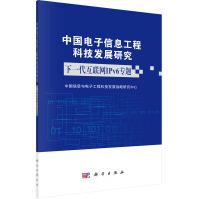 《下一代互联网IPv6专题》[85M]百度网盘|pdf下载|亲测有效