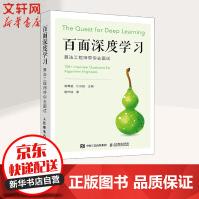 《百面深度学习算法工程师带你去面试》[64M]百度网盘|pdf下载|亲测有效