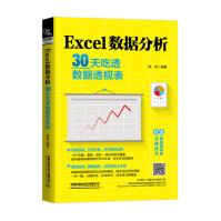 《Excel数据分析：天吃透数据透视表》[75M]百度网盘|pdf下载|亲测有效