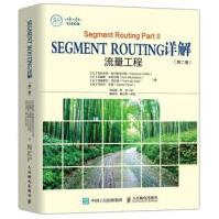 《SegmentRouting详解第二卷流量工程克拉伦斯·菲尔斯菲尔斯,克里斯·米克尔森》[56M]百度网盘|pdf下载|亲测有效