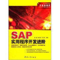 《SAP实用程序开发进阶》[94M]百度网盘|pdf下载|亲测有效