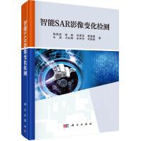 《智能SAR影像变化检测》[78M]百度网盘|pdf下载|亲测有效