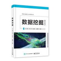 《数据挖掘——高级大数据人才培养丛书》[64M]百度网盘|pdf下载|亲测有效