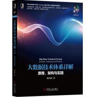 《大数据技术体系详解：原理、架构与实践》[93M]百度网盘|pdf下载|亲测有效