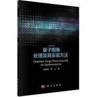 《量子图像处理及其实现方法》[87M]百度网盘|pdf下载|亲测有效