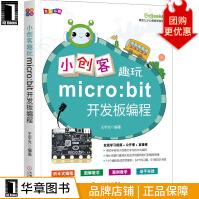 《小创客趣玩micro:bit开发板编程王宇光》[40M]百度网盘|pdf下载|亲测有效