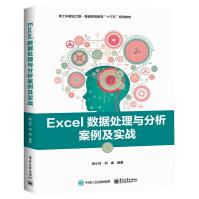 《Excel数据处理与分析案例及实战》[67M]百度网盘|pdf下载|亲测有效
