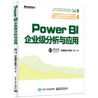 《Power BI企业级分析与应用》[89M]百度网盘|pdf下载|亲测有效
