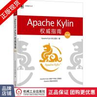《ApacheKylin权威指南大数据技术丛书》[99M]百度网盘|pdf下载|亲测有效