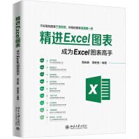 《精进Excel图表》[94M]百度网盘|pdf下载|亲测有效