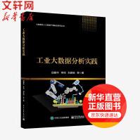 《工业大数据分析实践田春华著大数据及人工智能产教融合系列丛书网络应用》[47M]百度网盘|pdf下载|亲测有效