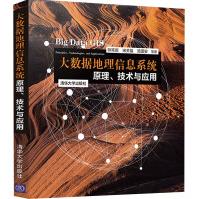《大数据地理信息系统原理、技术与应用》[82M]百度网盘|pdf下载|亲测有效