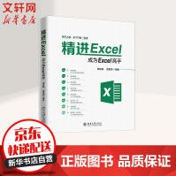 《精进EXCEL成为EXCEL高手》[76M]百度网盘|pdf下载|亲测有效