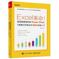 《Excel革命！超级数据透视表PowerPivot与数据分析表达式DAX快速入门》[48M]百度网盘|pdf下载|亲测有效