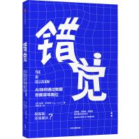 《错觉AI如何通过数据挖掘误导我们中信》[63M]百度网盘|pdf下载|亲测有效