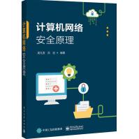 《计算机网络安全原理》[95M]百度网盘|pdf下载|亲测有效
