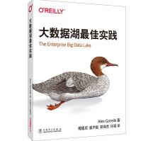 《大数据湖最佳实践》[51M]百度网盘|pdf下载|亲测有效