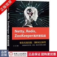 《Netty、Redis、ZooKeeper高并发实战附源代码》[83M]百度网盘|pdf下载|亲测有效
