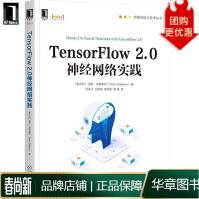 《TensorFlow2.0神经网络实践》[68M]百度网盘|pdf下载|亲测有效
